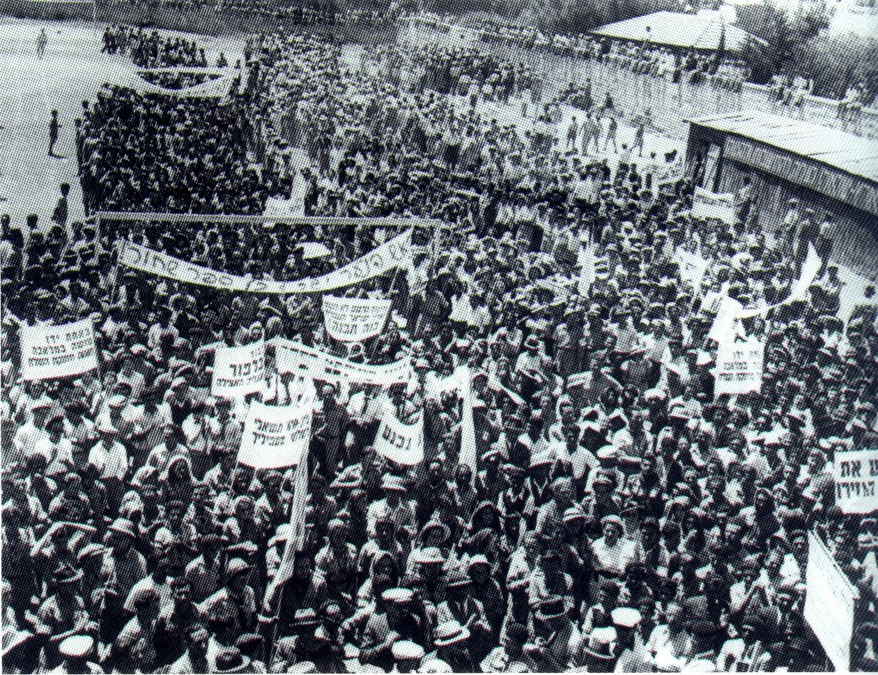 הפגנה נגד הספר הלבן.jpg