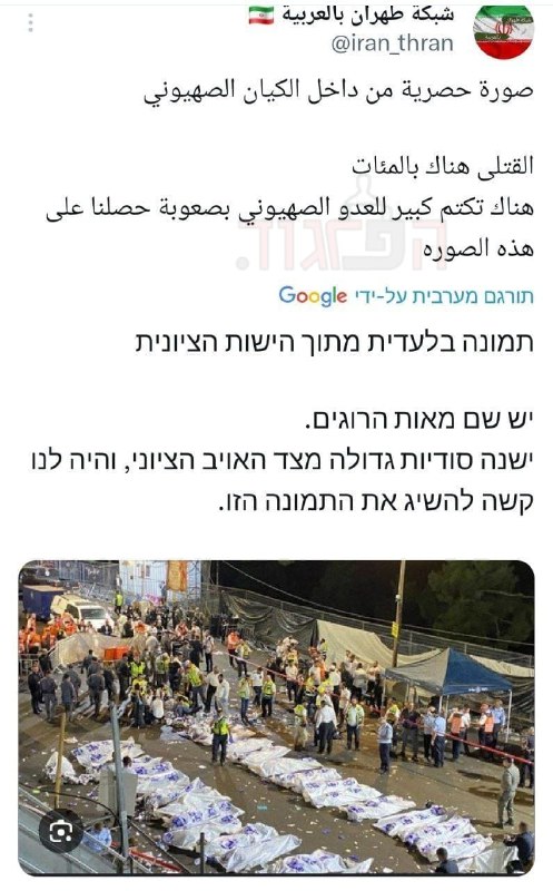 הפרגוד תמונה_23244.jpg