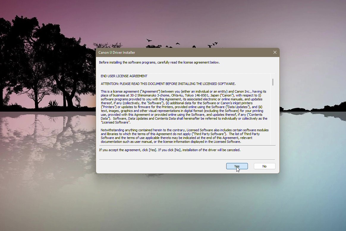 הקלטה 2023-05-21 191159 - frame at 0m11s.jpg