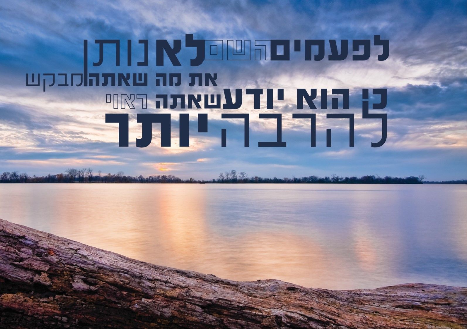 הרבה יותר.jpg