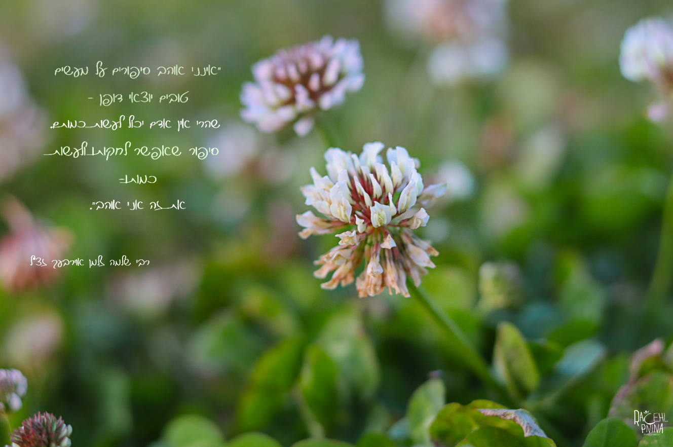 הרב אוריבאך צילום רחל אורן.png