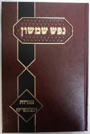 הרב פינקוס (4).jpg