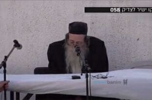 הרב שיינפלד.jpg