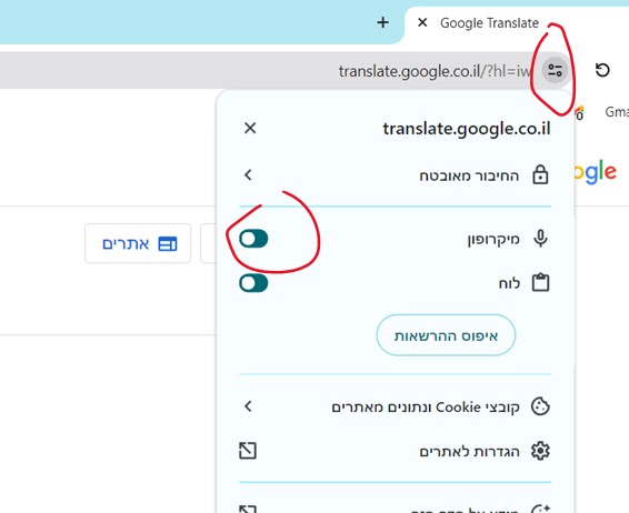 הרשאת דיבור ב-Google.jpg