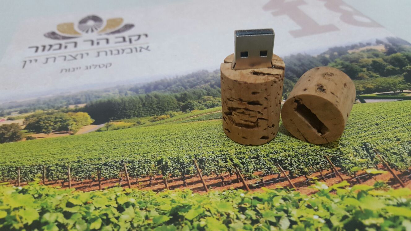 הר המור (12).jpeg