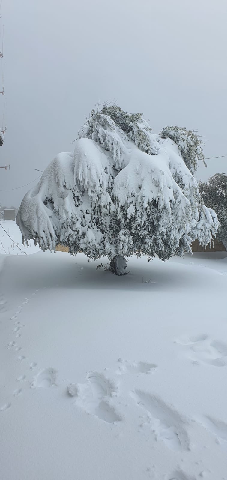 הר מירון.jpeg