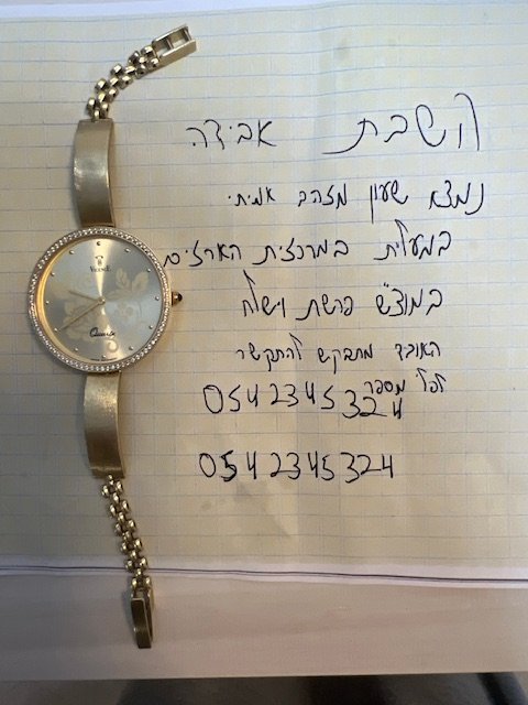 השבת אבידה.jpeg