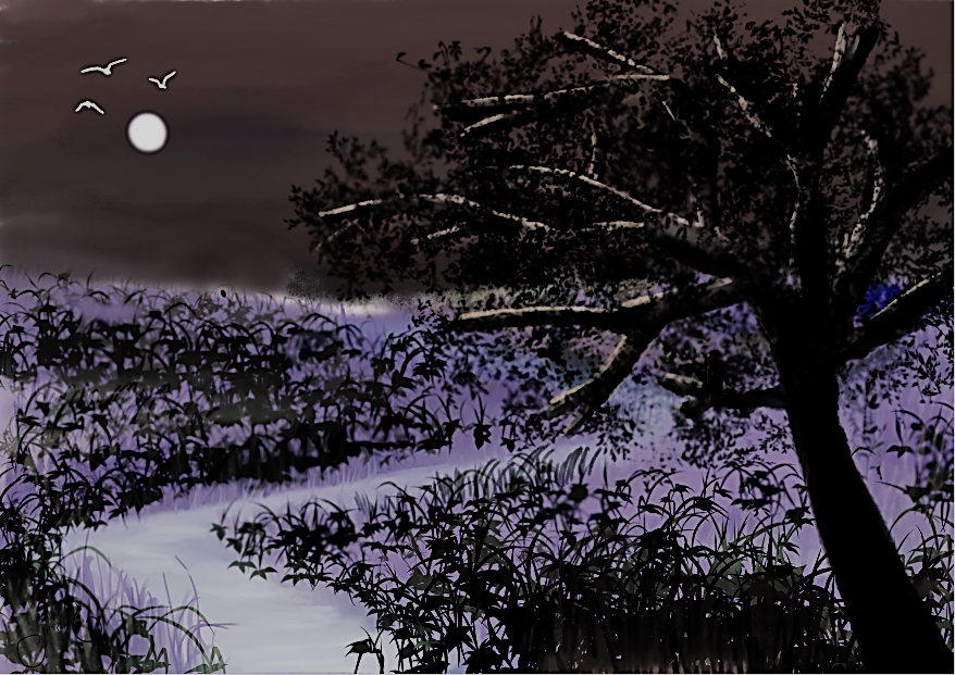 השראה לילה1.png