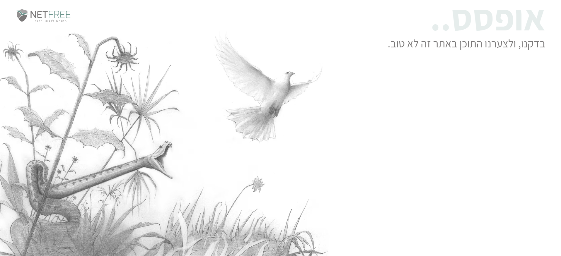 התוכן באתר הזה לא טוב.png