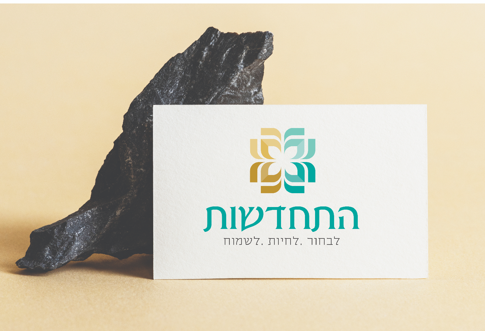 התחדשות-15 (1).jpg