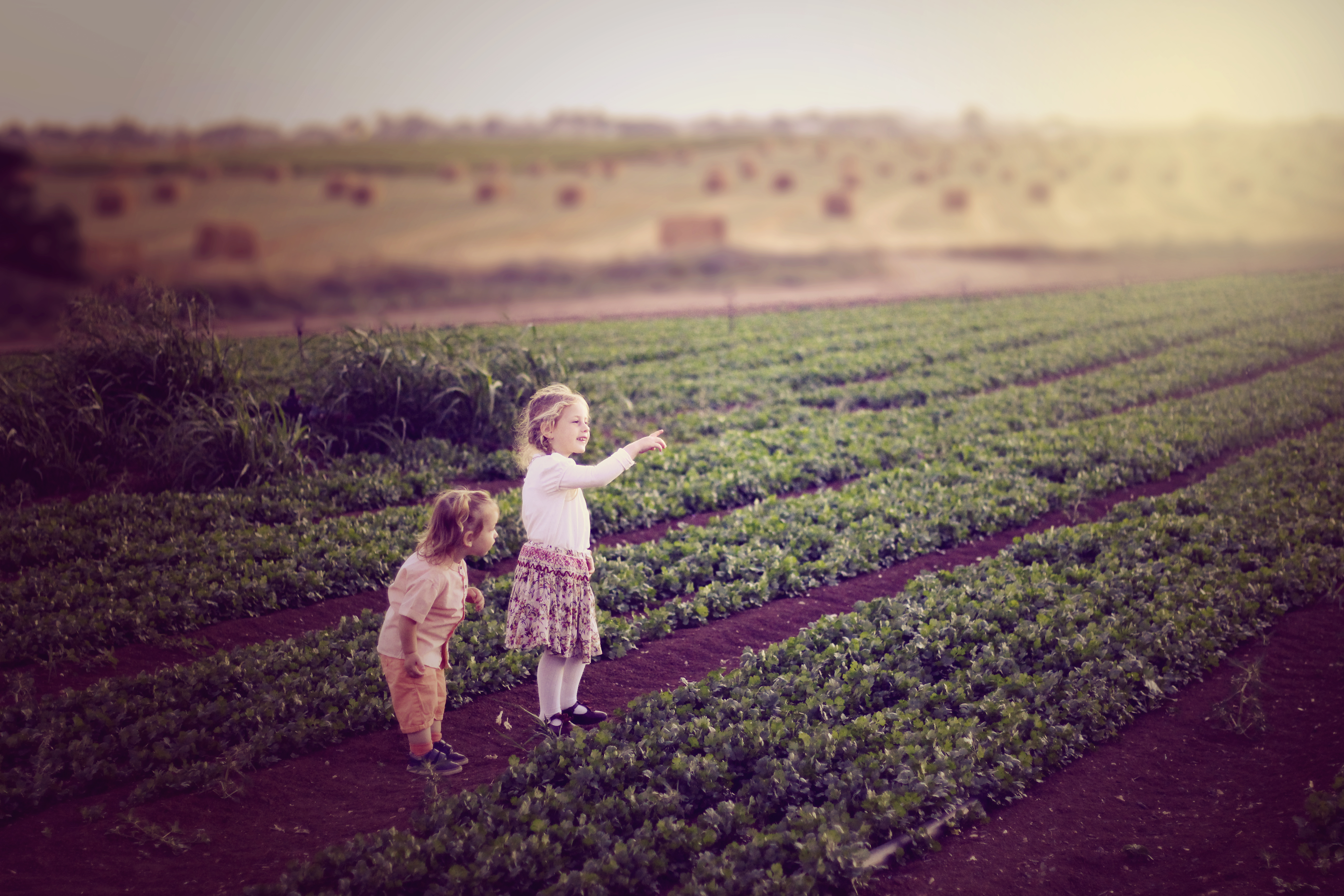 התנסות בעיבוד תמונה.jpg