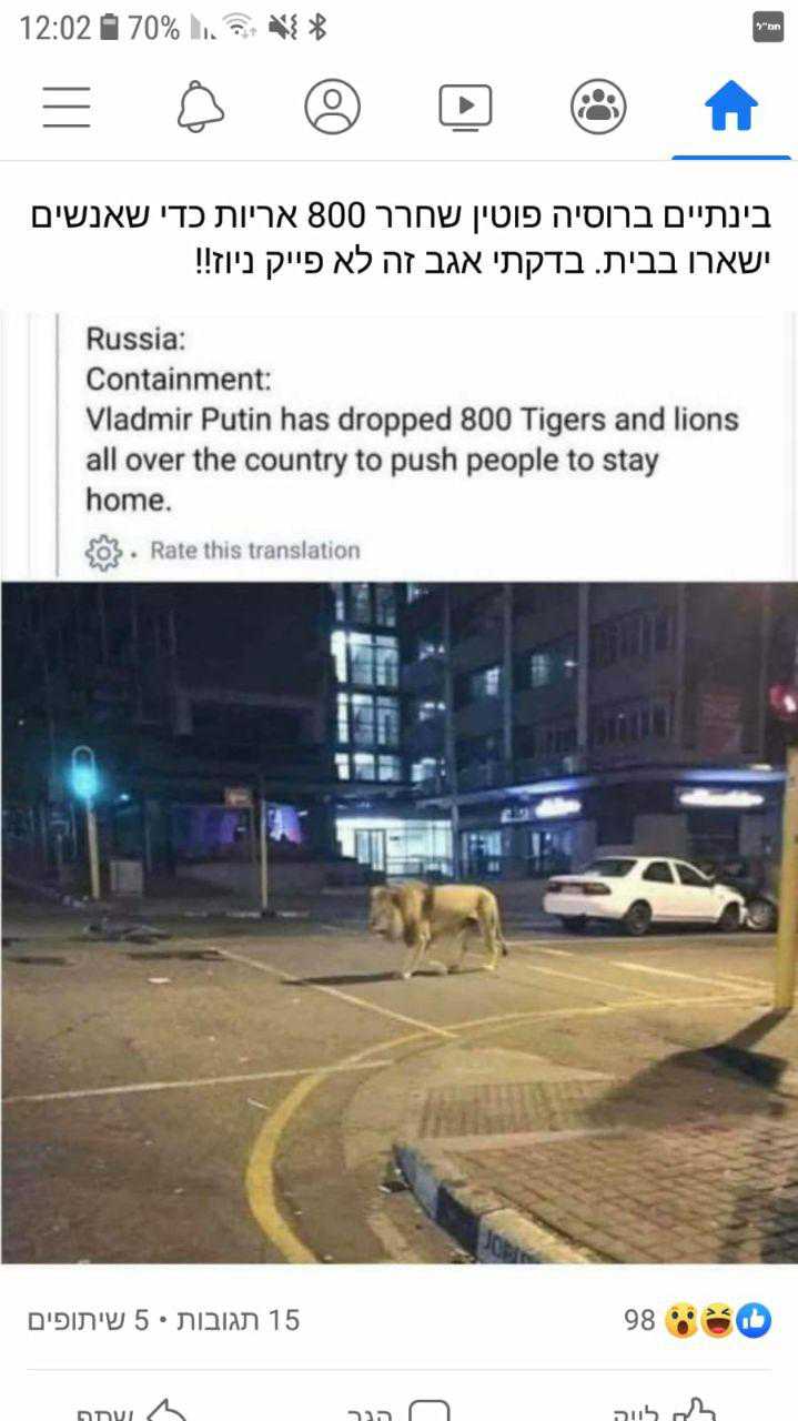 ה-אריות-וכולם-בבית (1).jpg