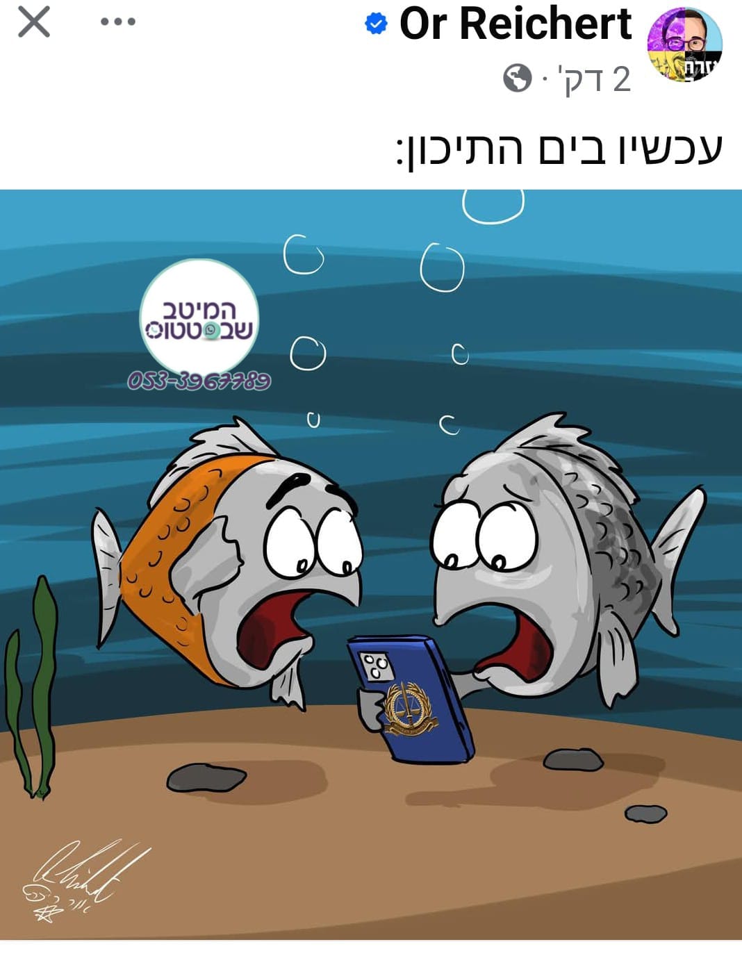 ה_הדגים_בהלם.jpg