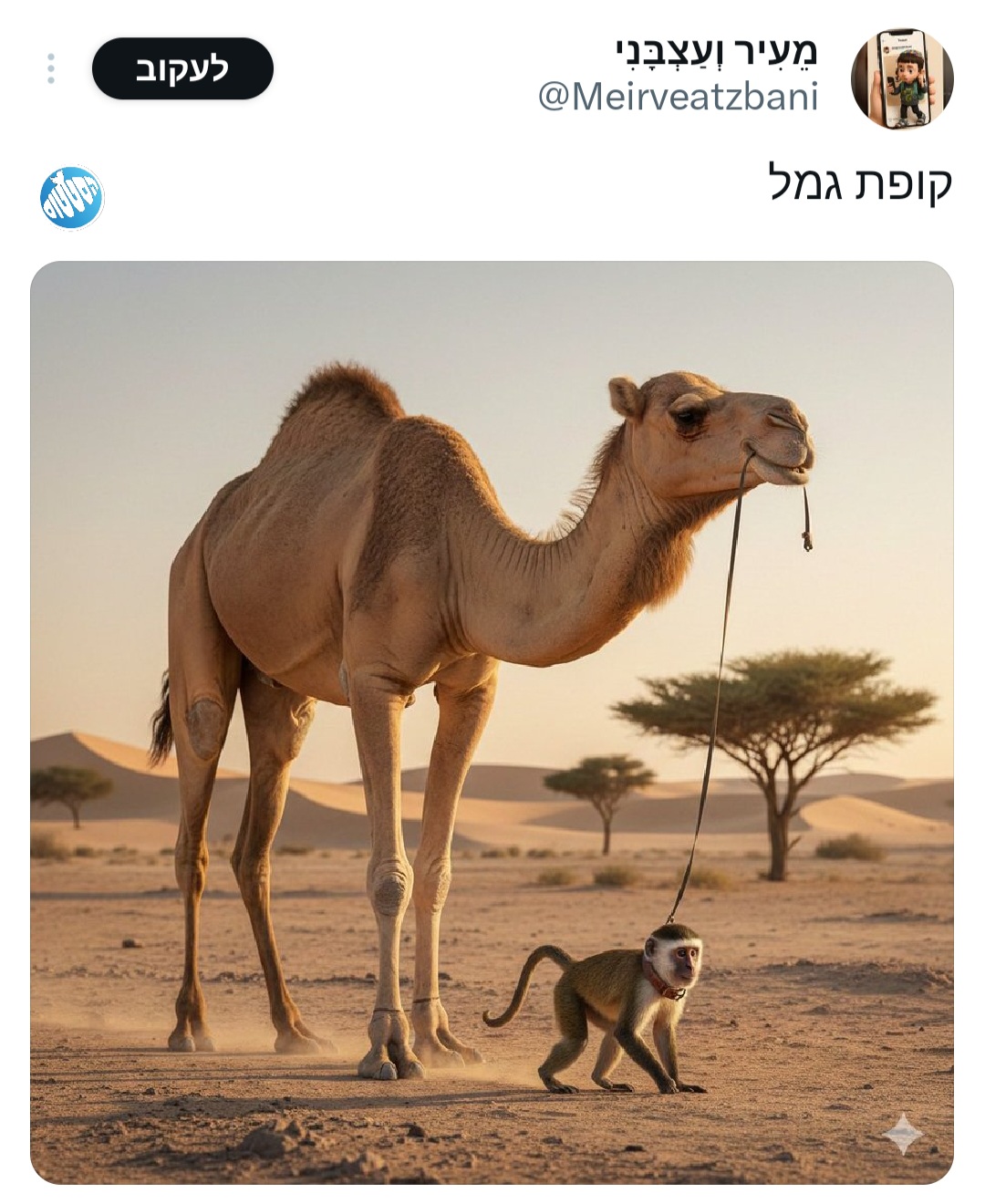 ה_קופת_גמל.jpg