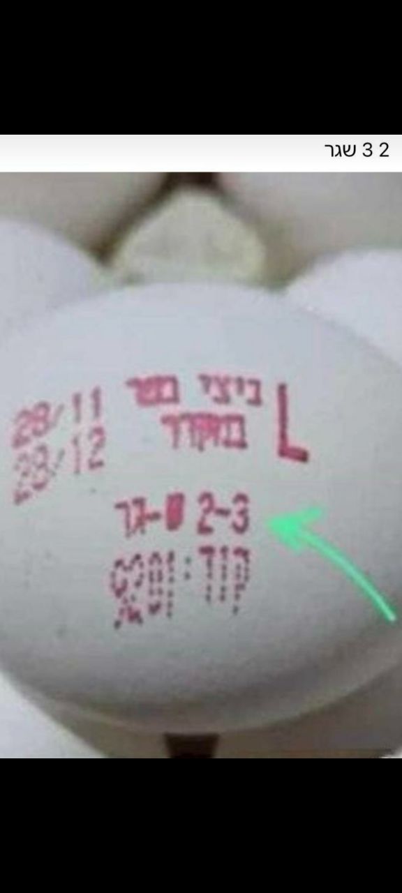 ה_2_3_שגר.jpg