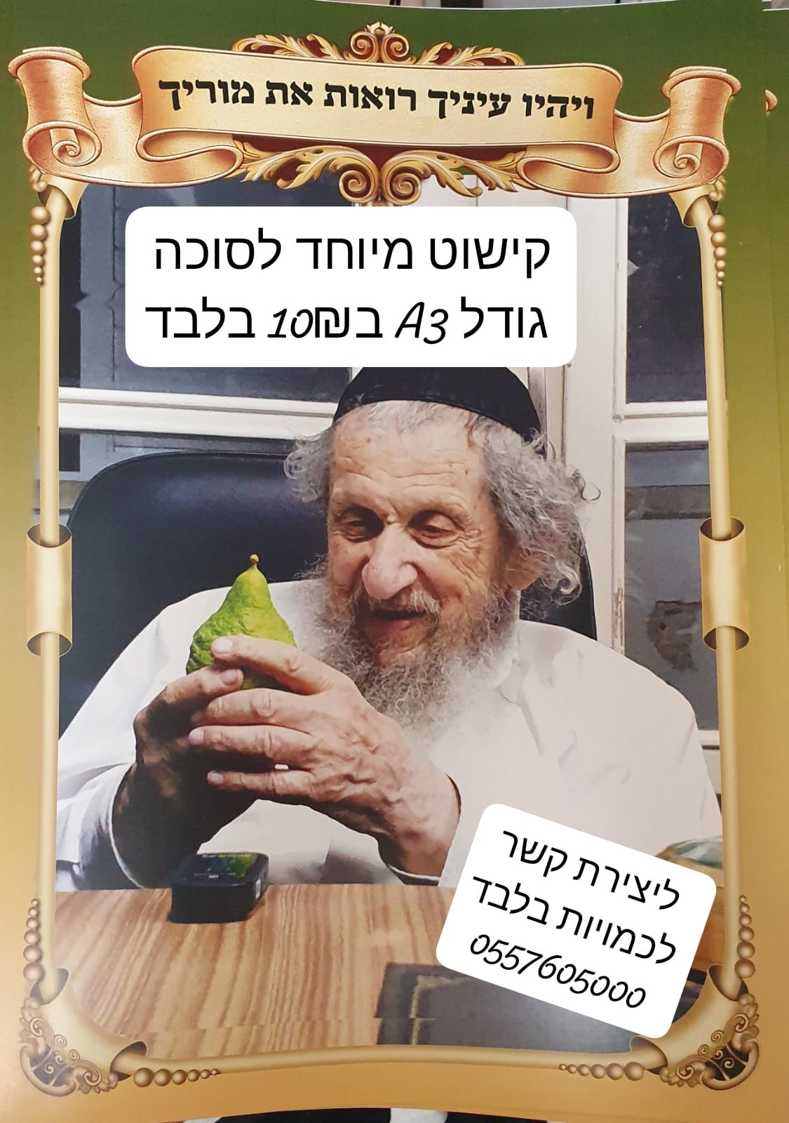 והיו עיניך רואות את מוריך.jpg