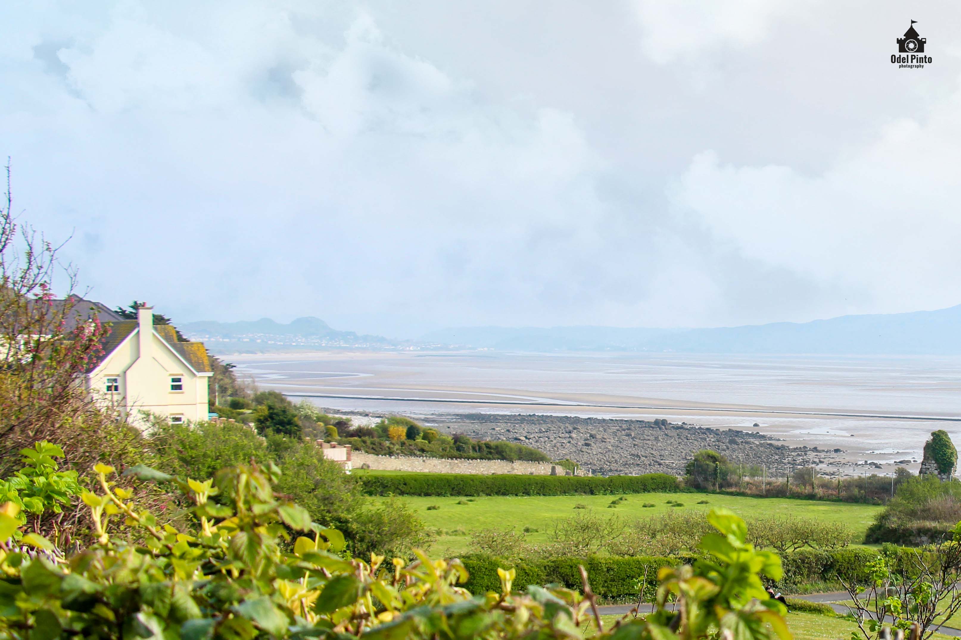 וולס מוקטן.jpg