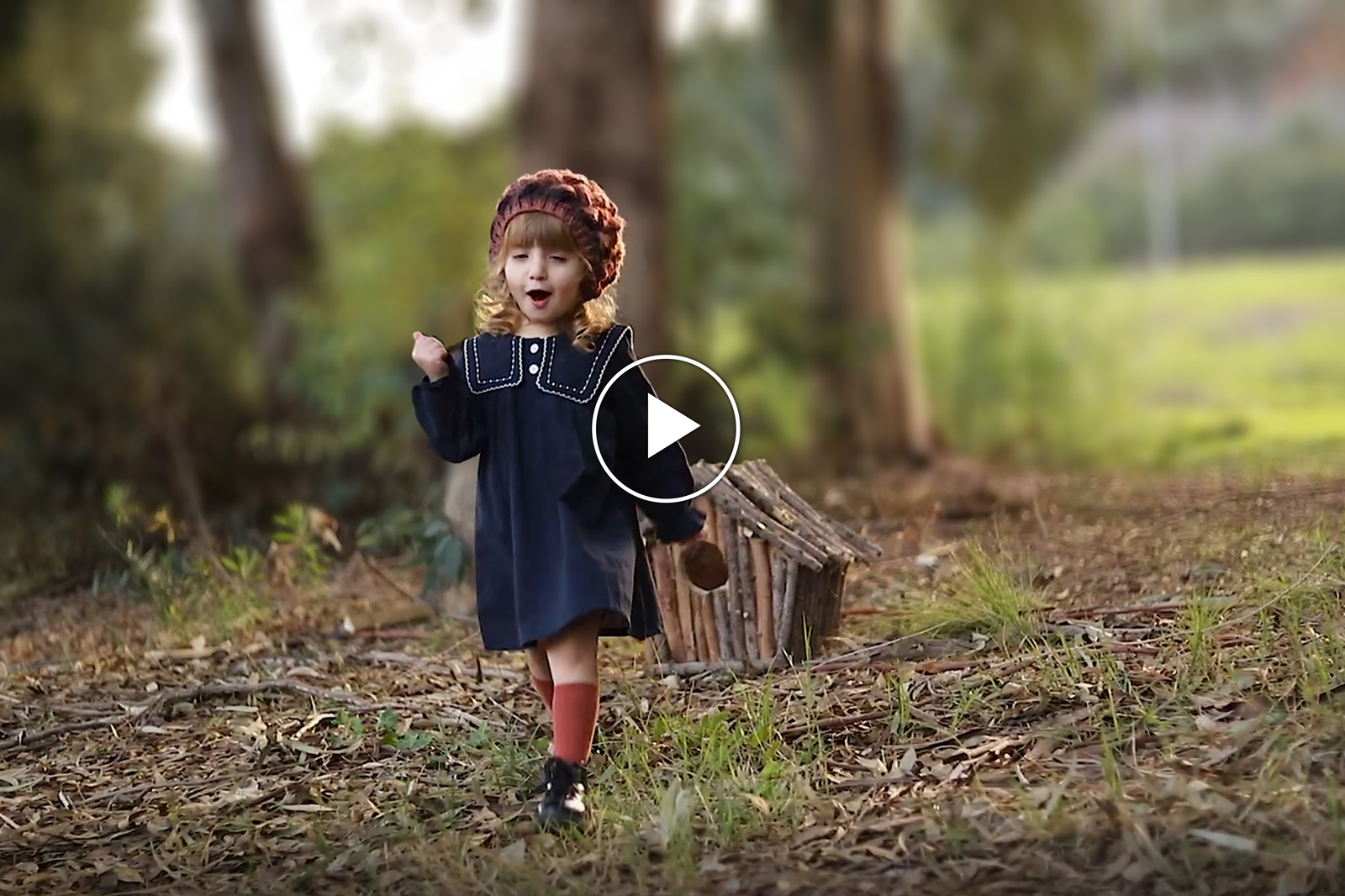 וידאו_1600x1066 (1).jpg