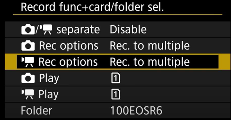 וידיאו לשניהם.JPG