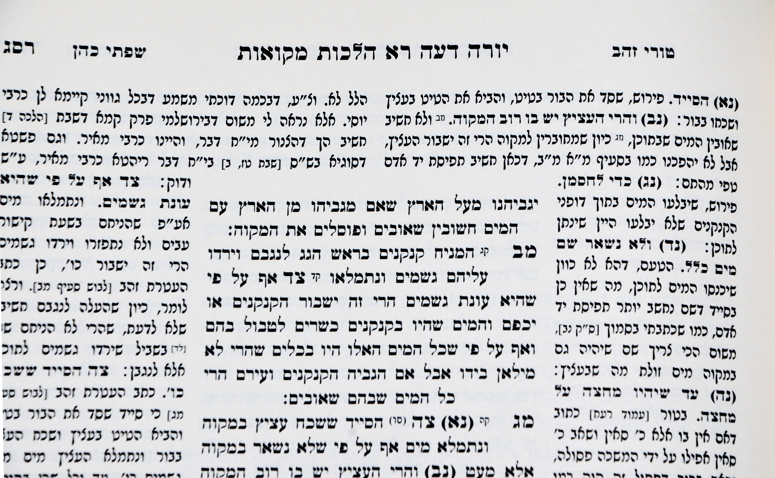 וילנא פרידמן.jpg