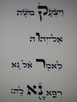 ויצעק משה אל ה.jpg