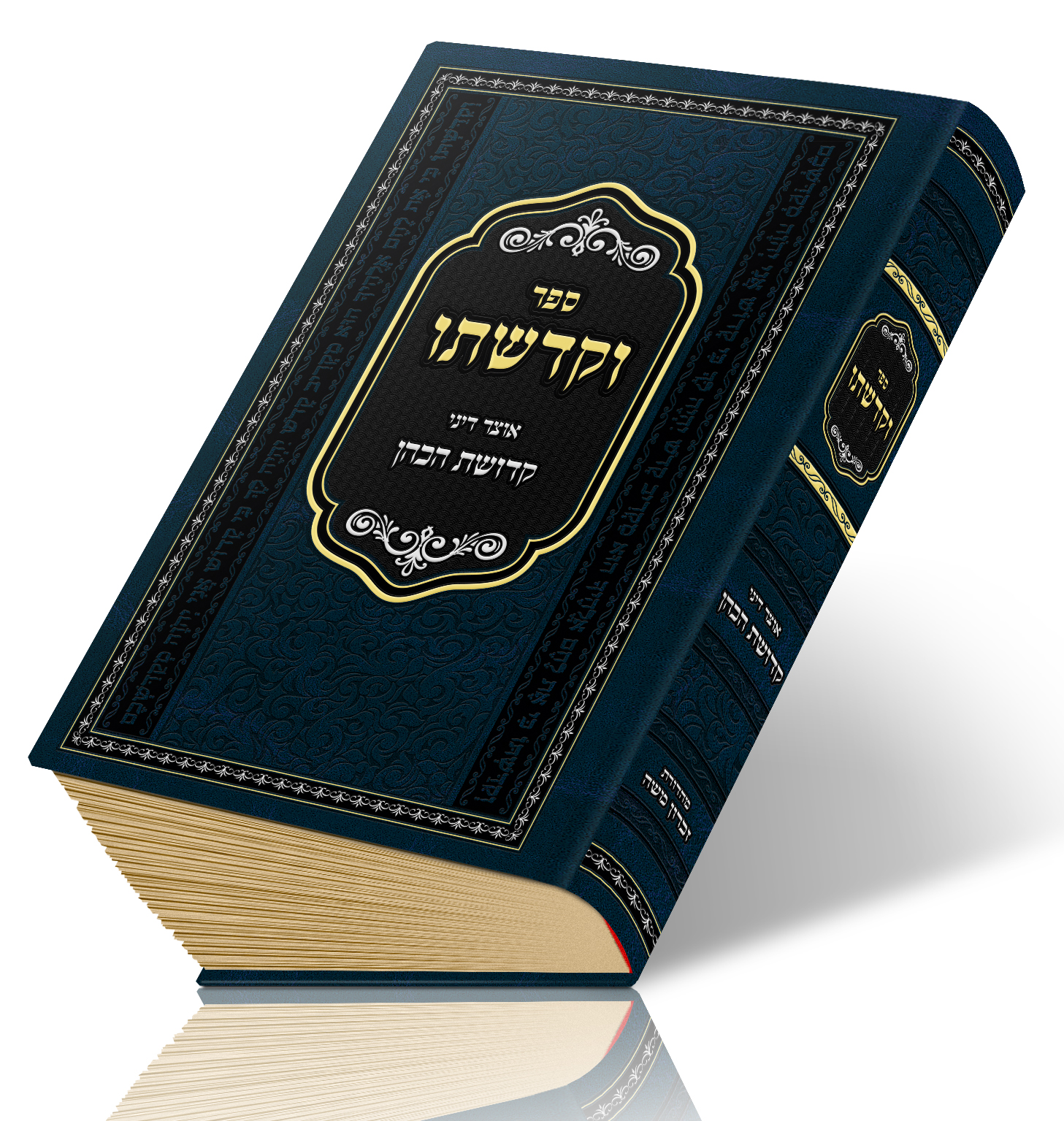 וקדשתו הדמייה1.jpg