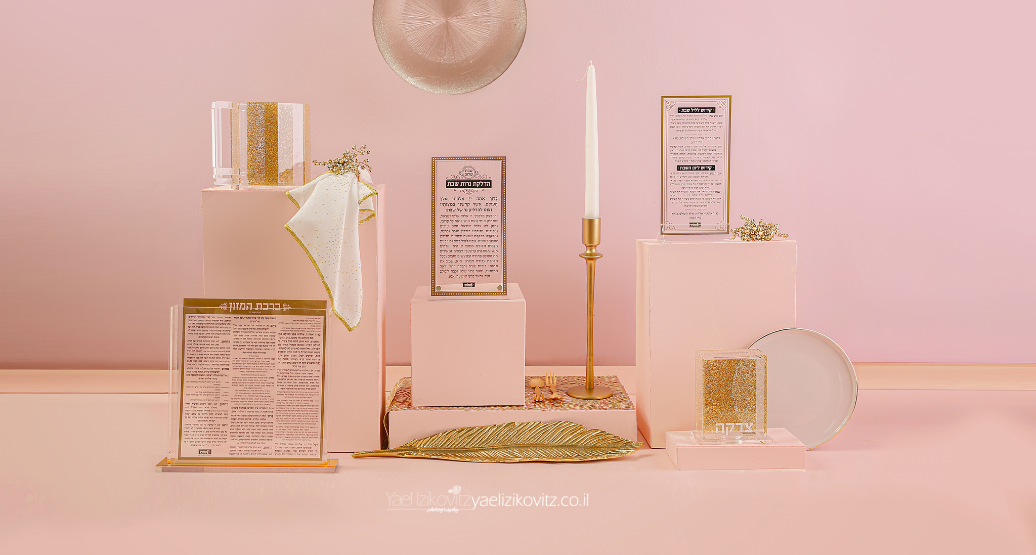 ורוד 4-מוקטן.jpg