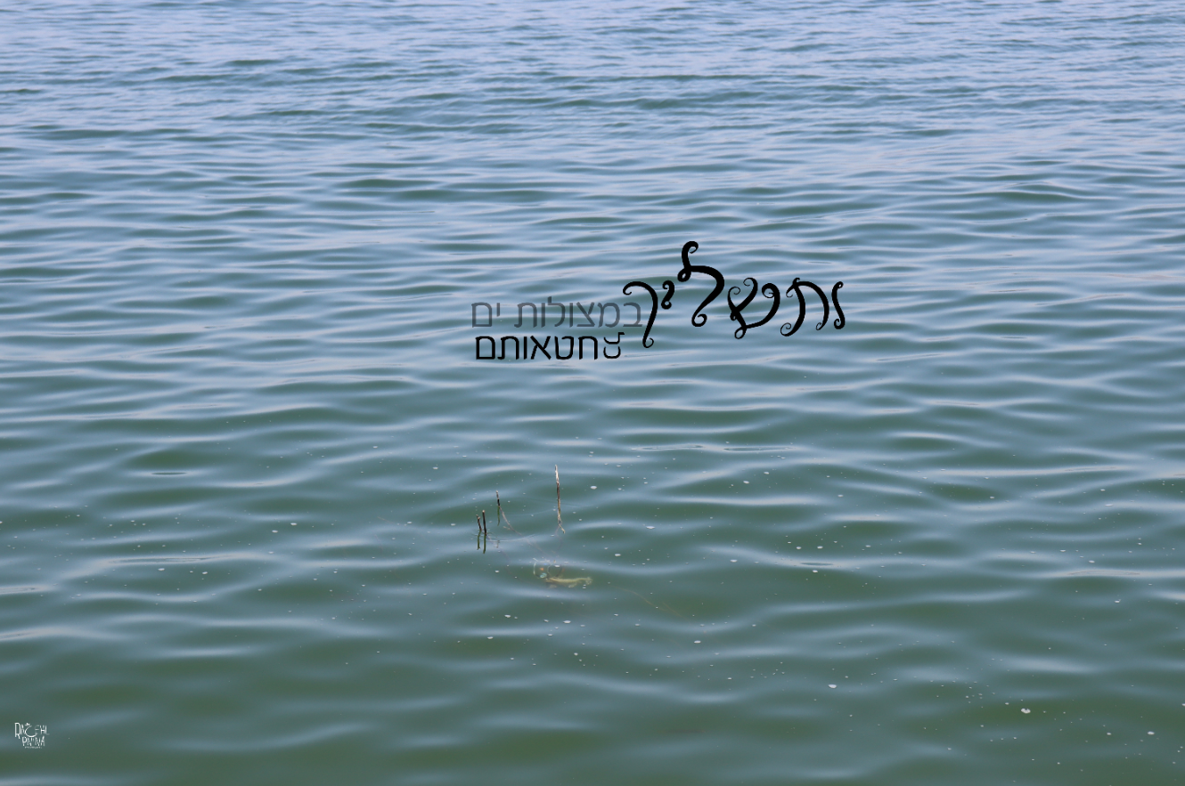 ותשליך איכות נמוכה רחל אורן.png