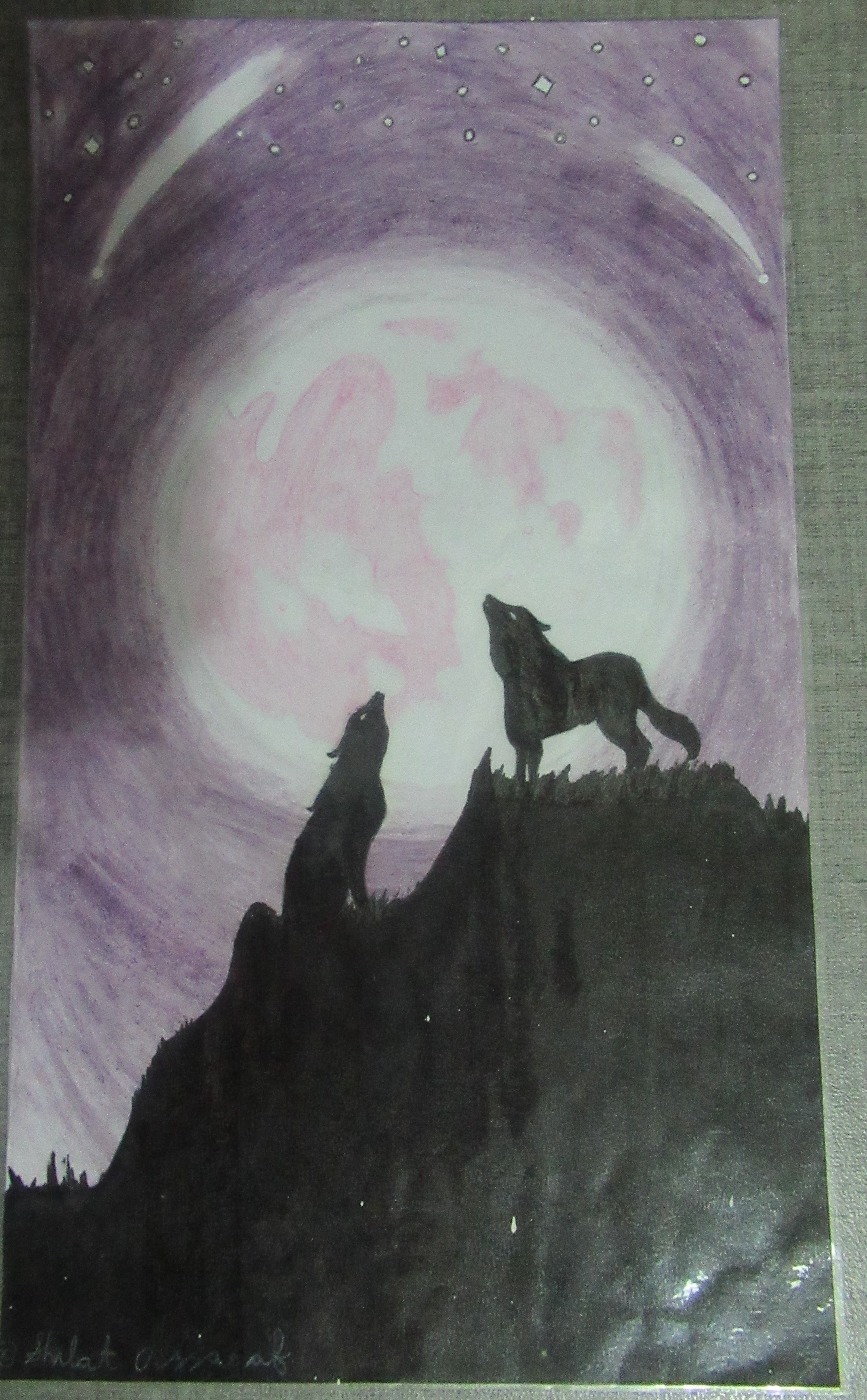 זאבים ב'יללת הירח'.JPG