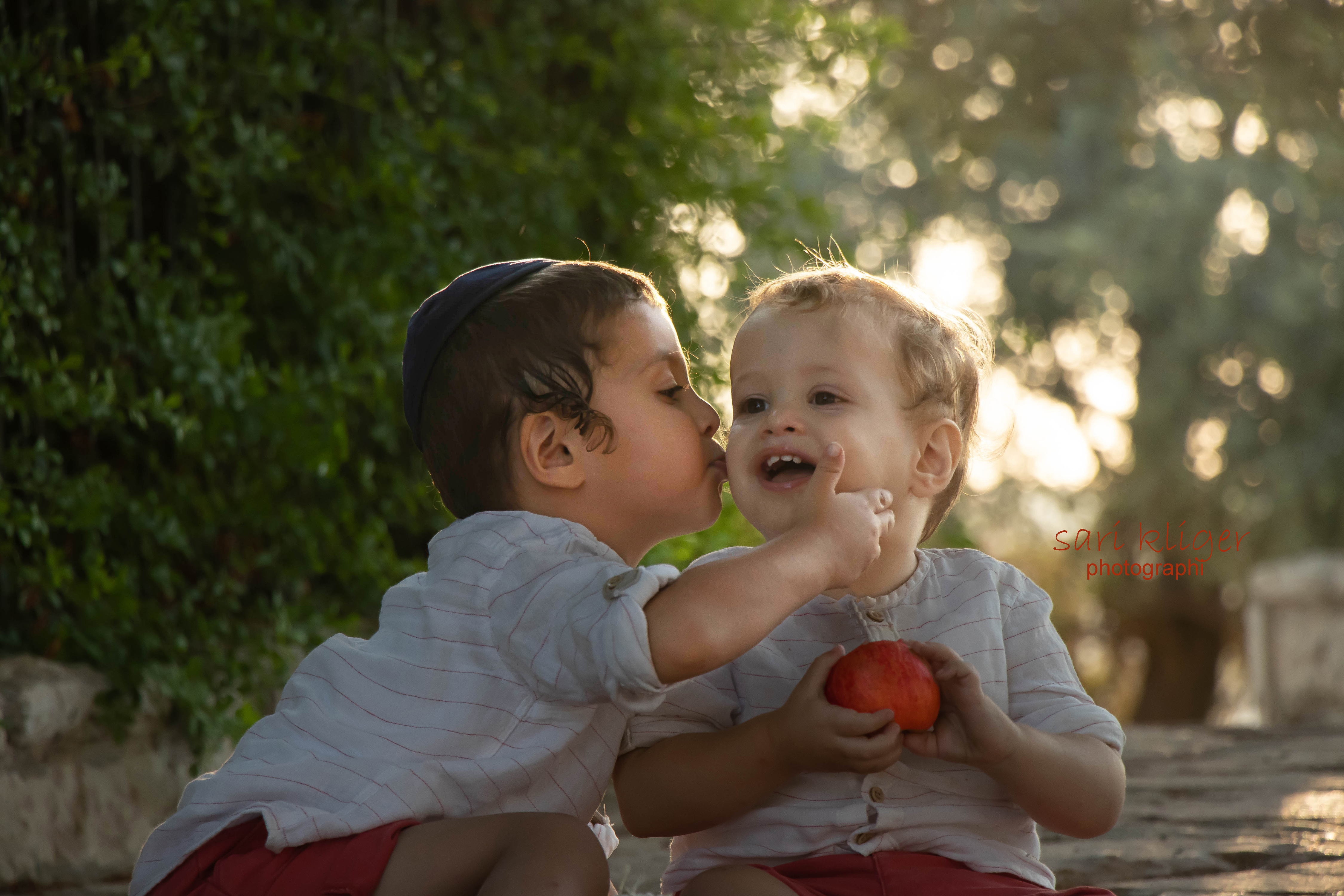 זאבי מוישי פרוג.jpg