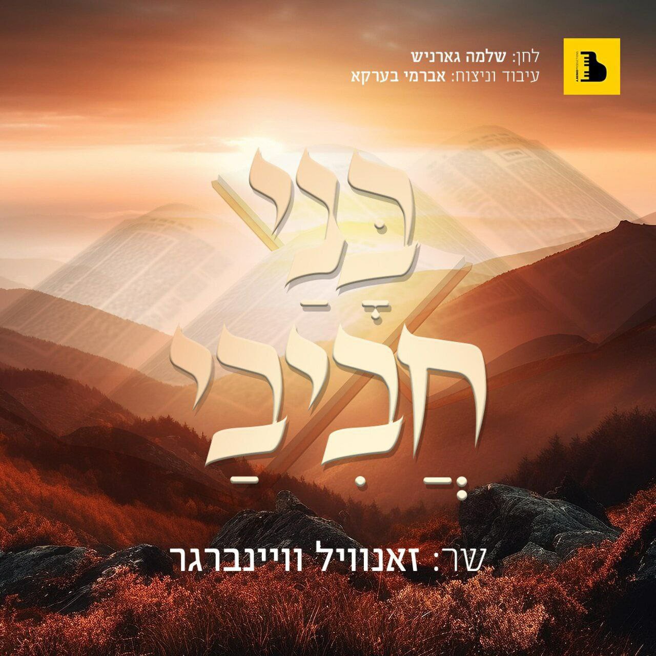 זאנוויל ויינברגר - בני חביבי.jpg