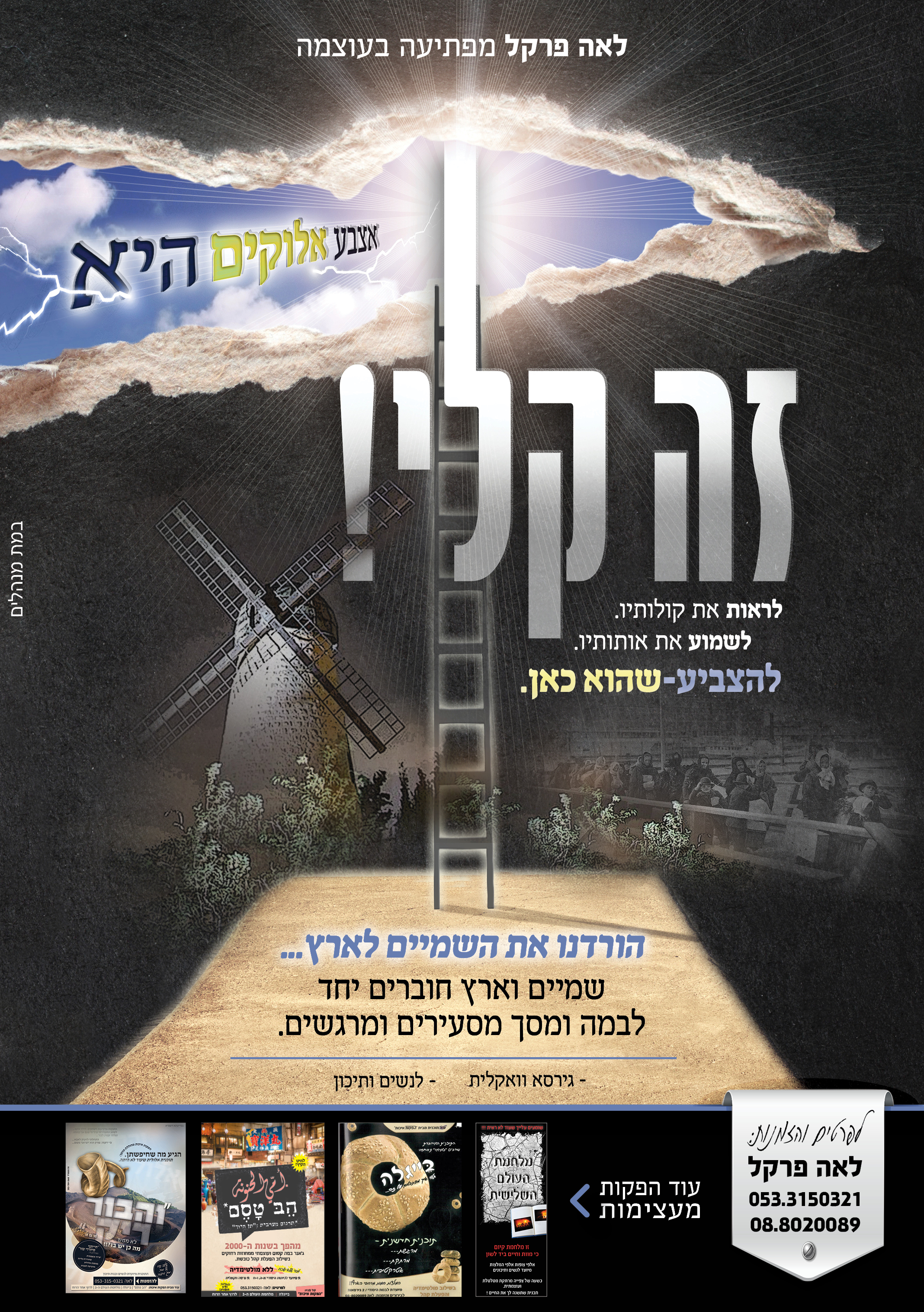 זה קלי סופי.jpg