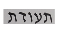 זיהוי פונט.jpg