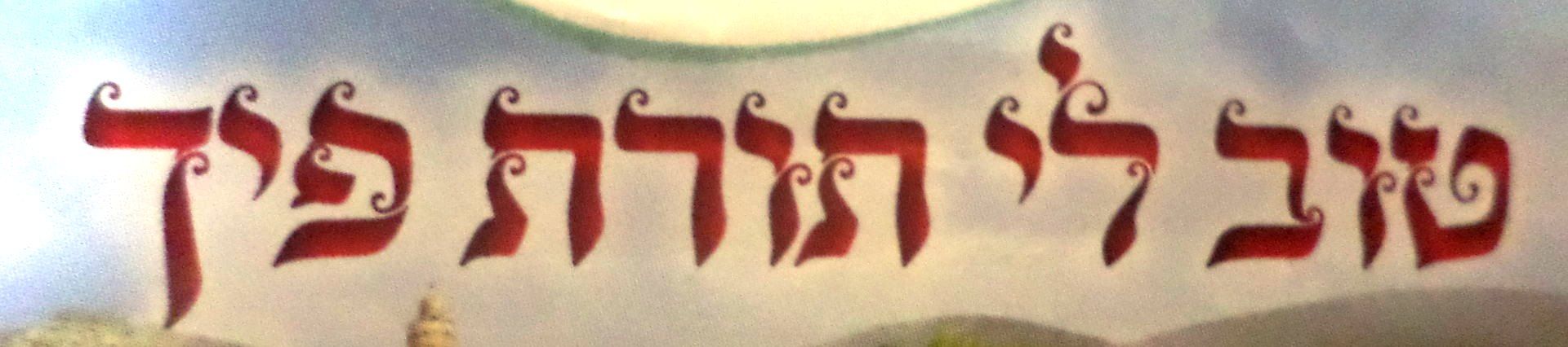 זיהוי פונט.JPG