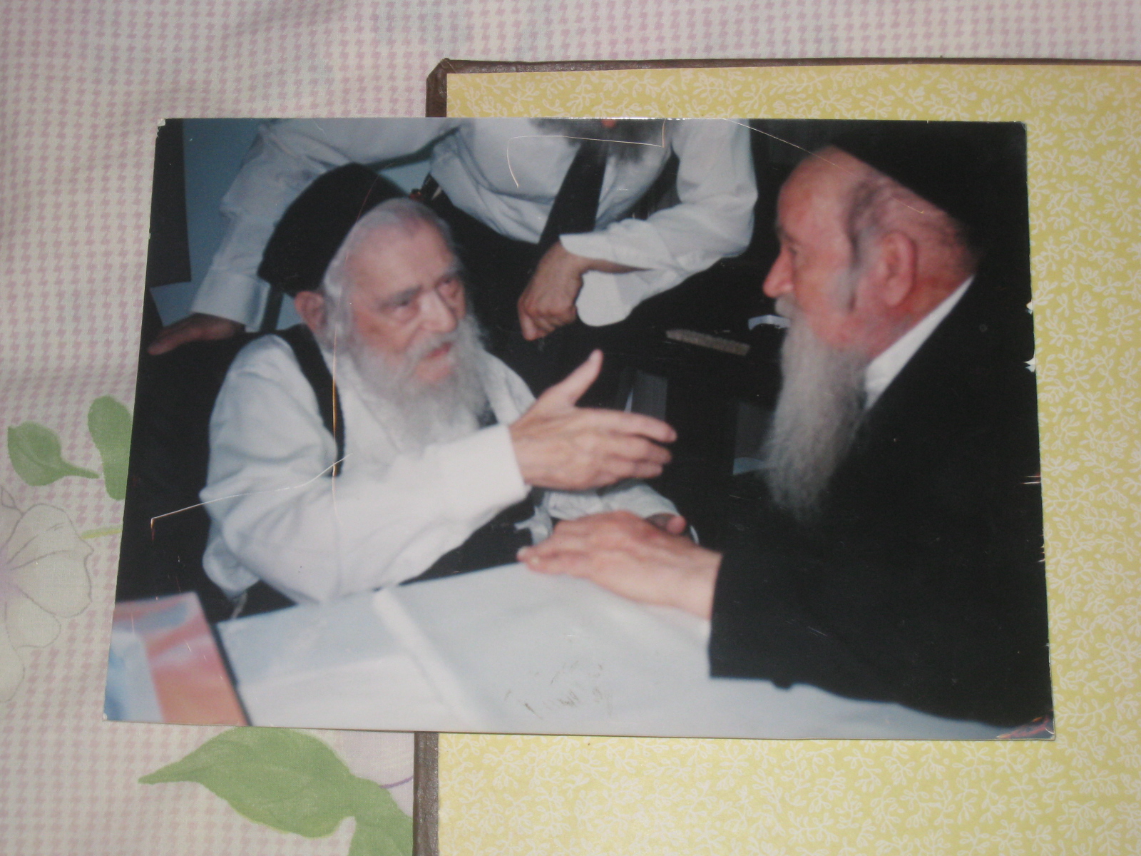 זיידע זלזניק (142).jpg