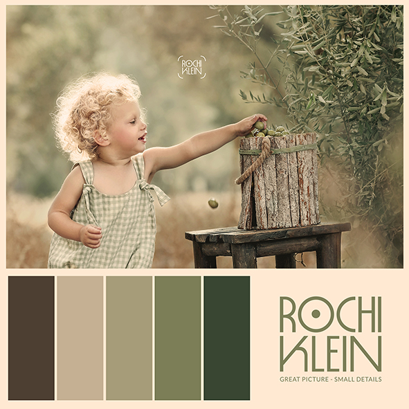 זית צבעים.jpg