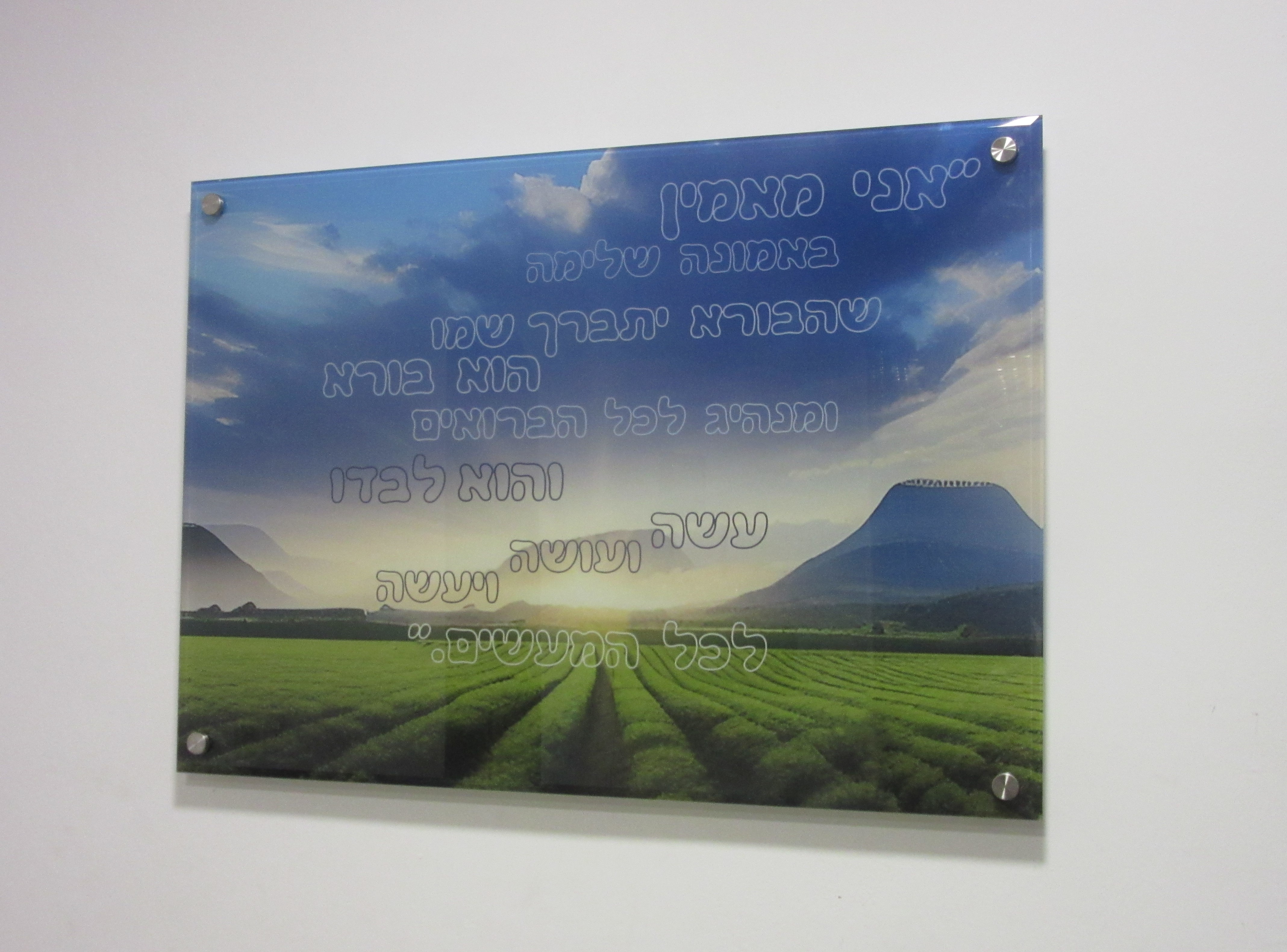 זכוכית בסלון.JPG