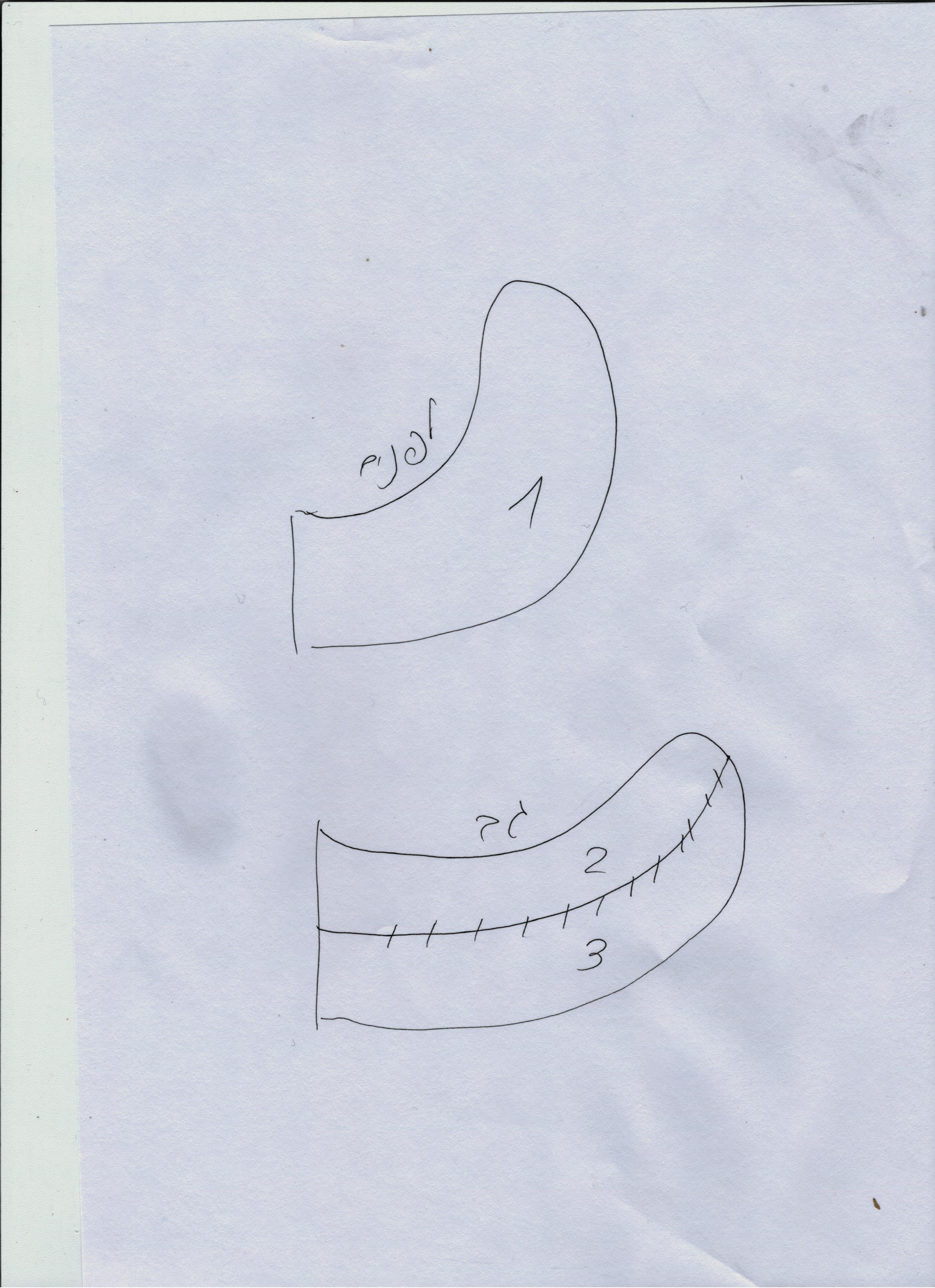 זנב חתול.jpeg