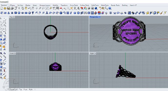 חבק מזק ריינו.JPG