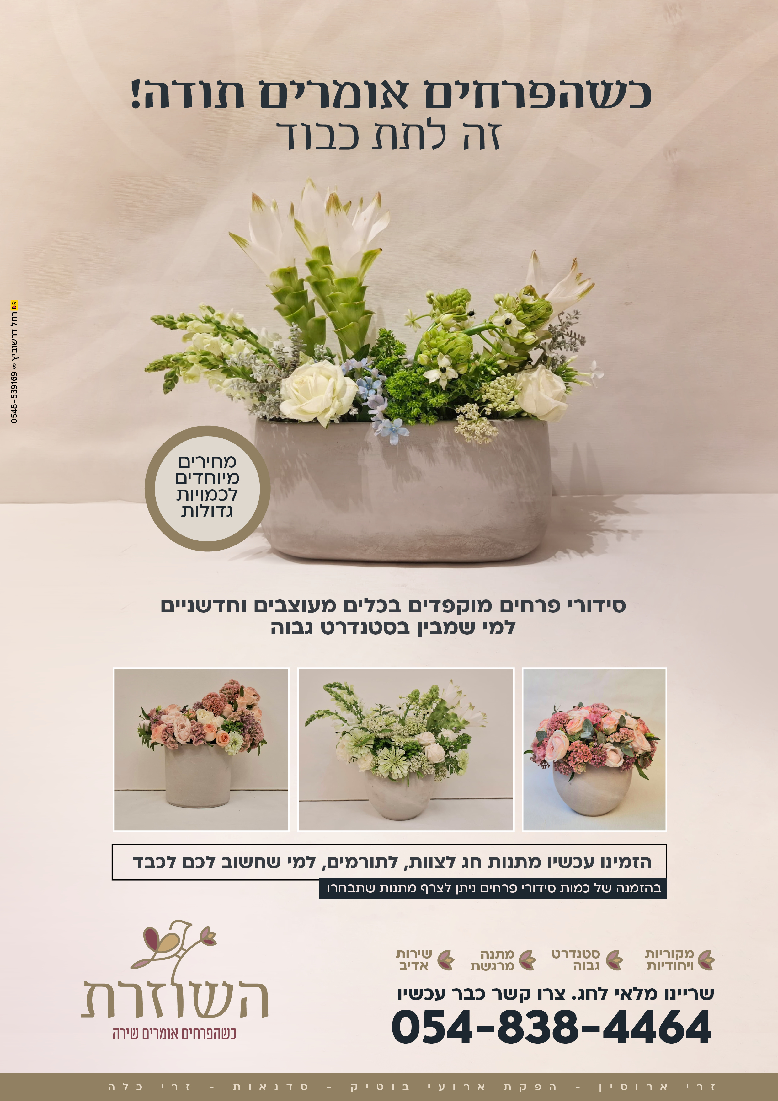 חגים יעללל.jpg