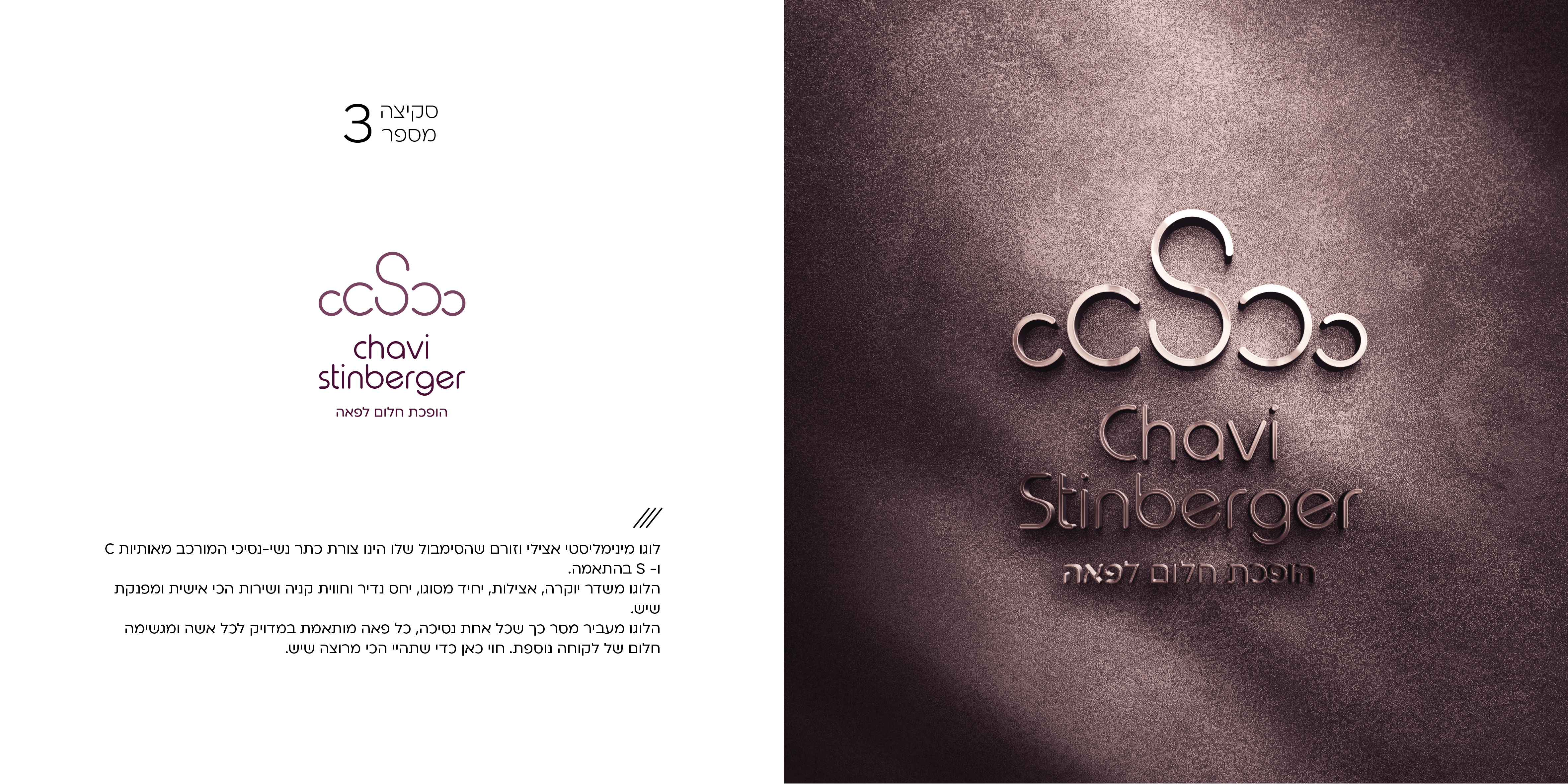 חוי שטינברגר - מיתוג עסקי4.jpg