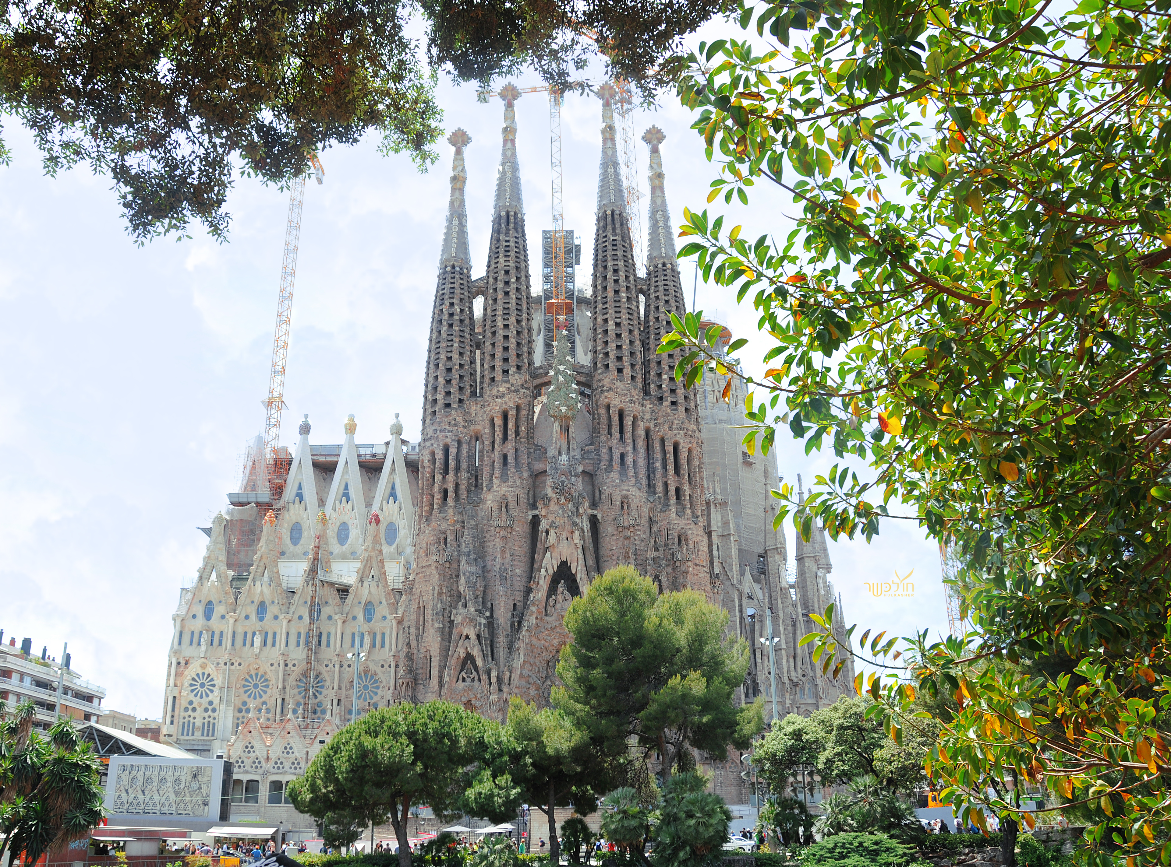 חולכשר דבוריפשדנובק ברצלונה7.jpg