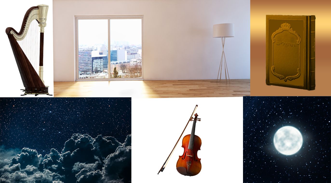 חומרים דוד.jpg