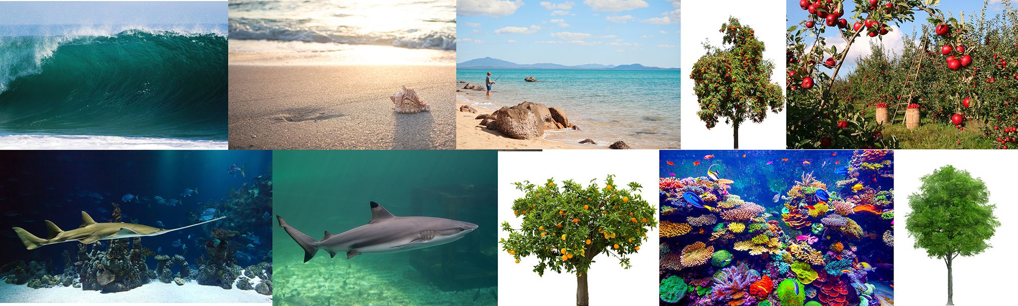 חומרים משה נמוך.jpg