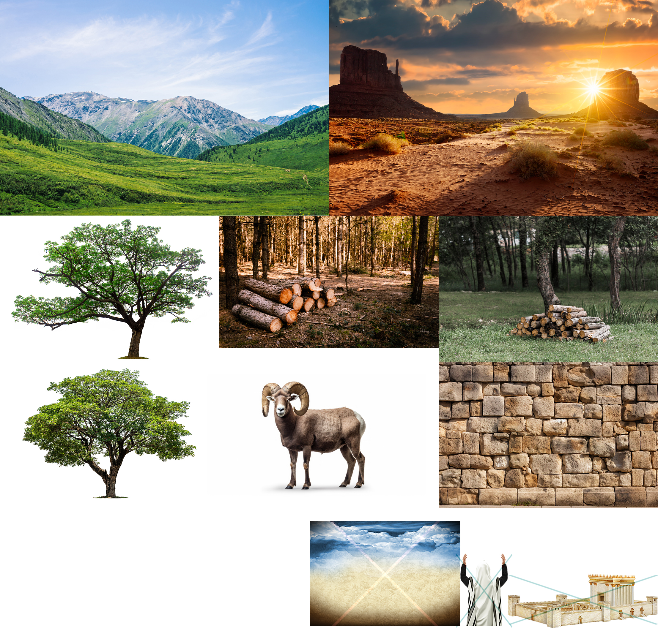 חומרי בסיס.jpg