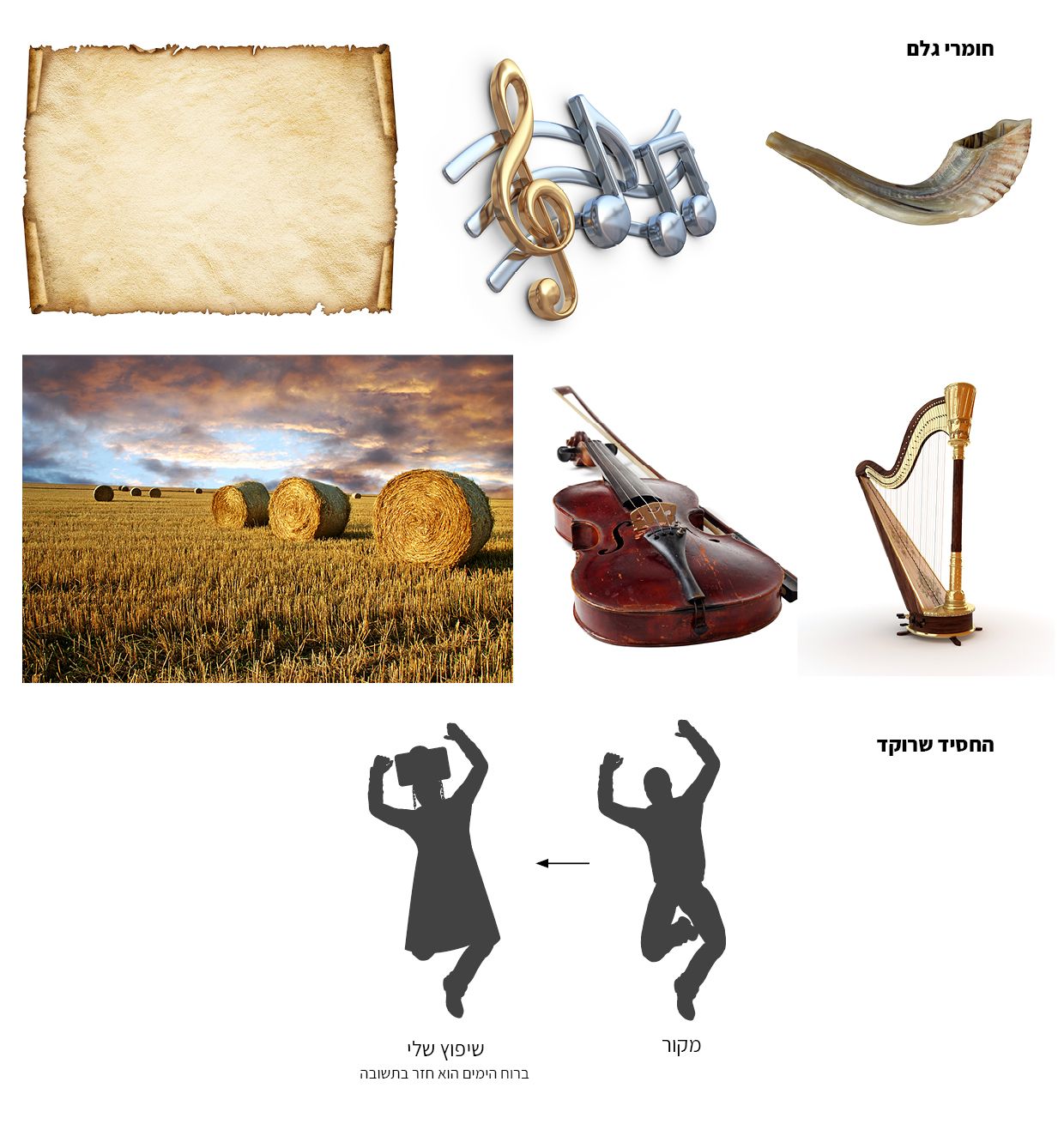 חומרי גלם- נטפרי.jpg