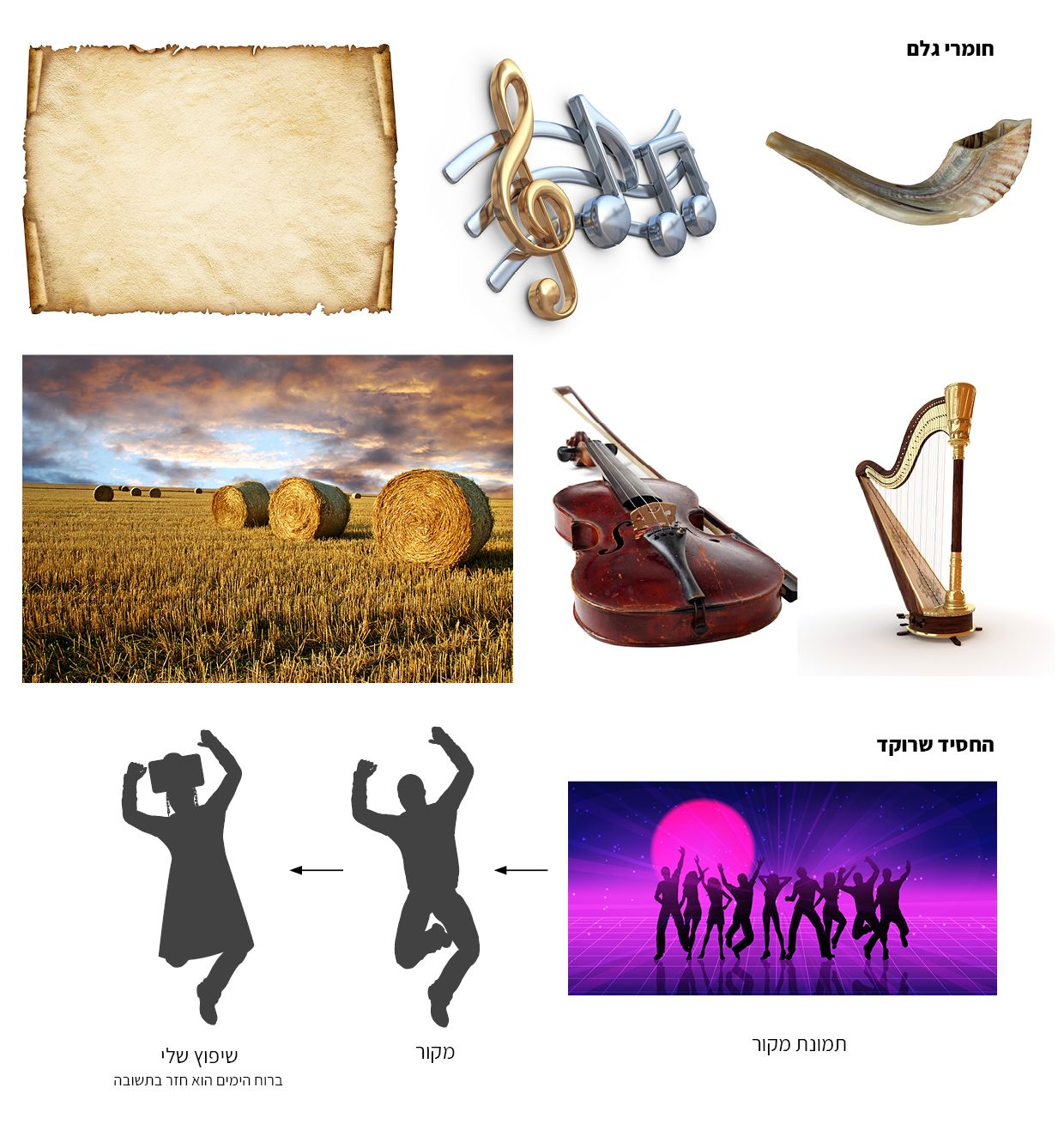 חומרי גלם.jpg