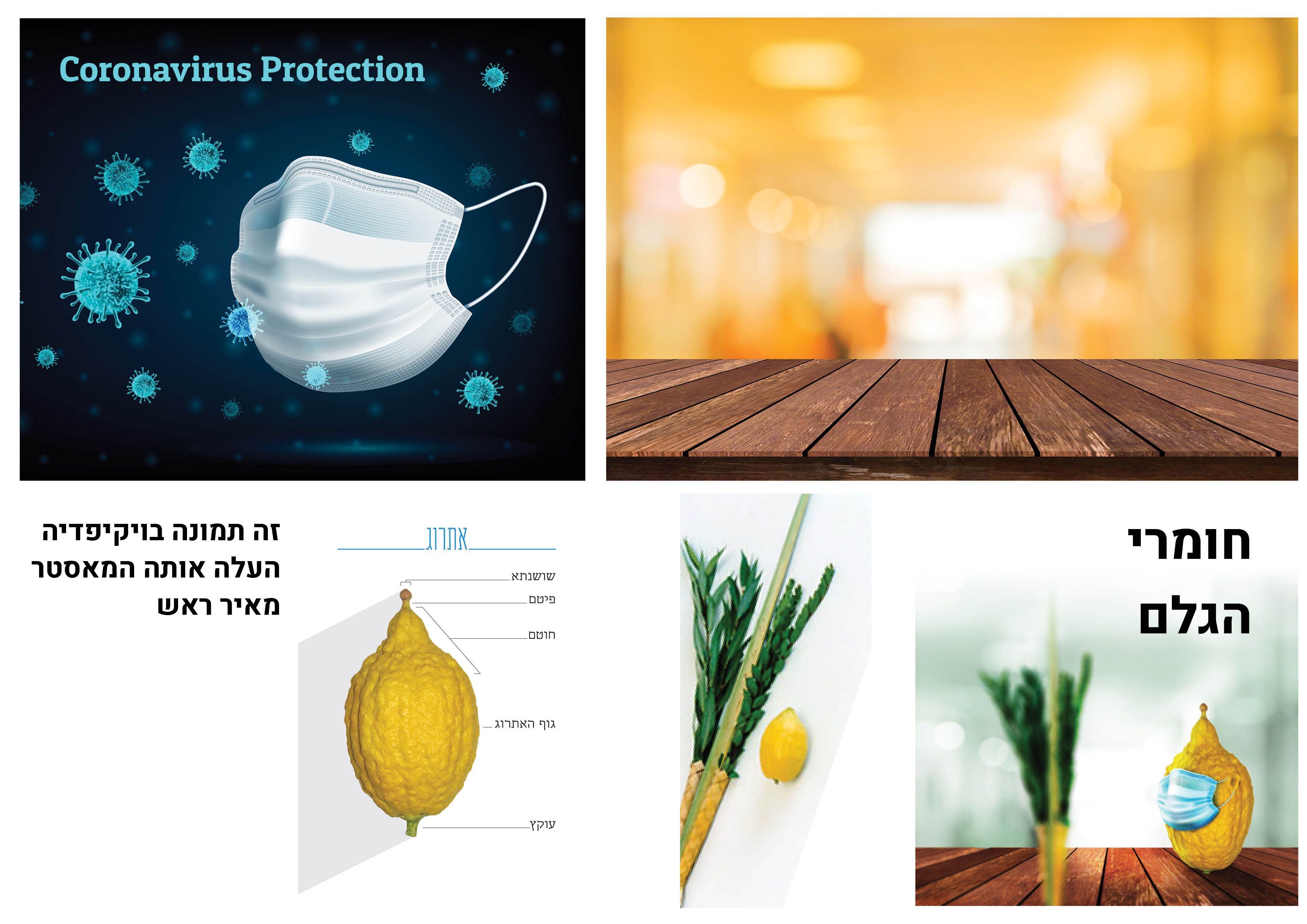 חומרי גלם.jpg