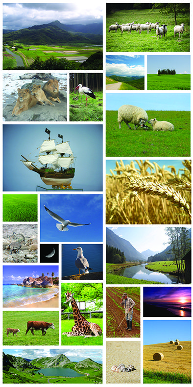 חומרי הגלם.jpg