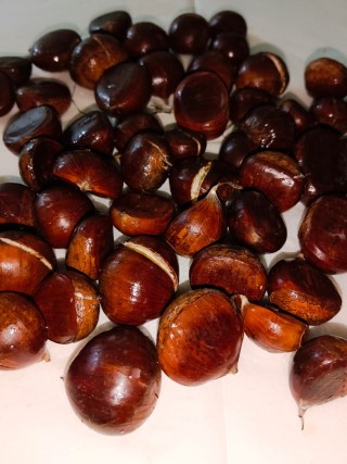 חורף (3) (Phone).jpg